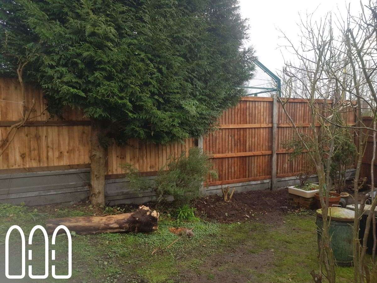 Close board fencing with concrete posts and gravel boards