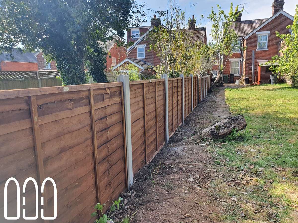 Waney fencing with concrete posts